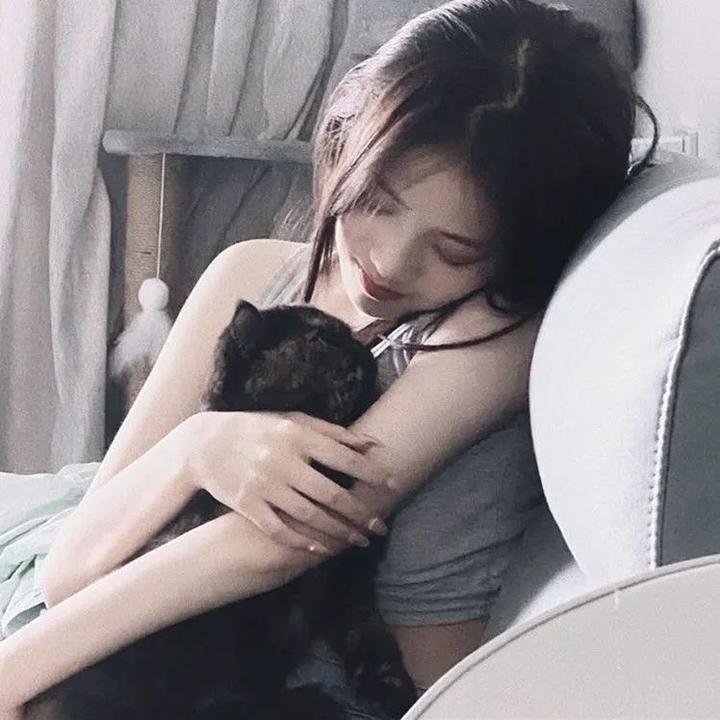 工程师普赖特的方案